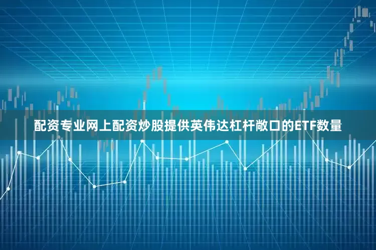 配资专业网上配资炒股提供英伟达杠杆敞口的ETF数量